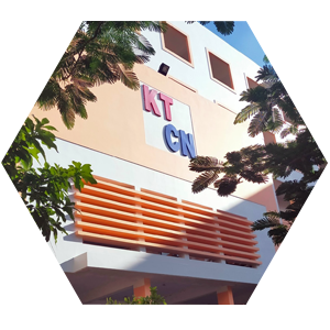 Cơ cấu tổ chức